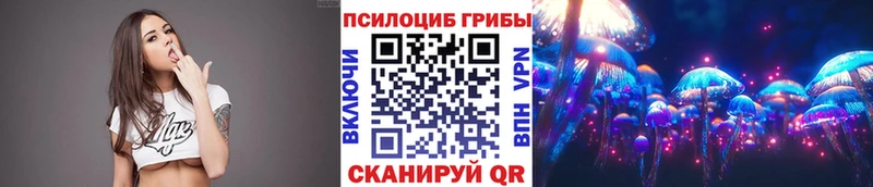 Псилоцибиновые грибы Psilocybine cubensis  как найти закладки  Любань 