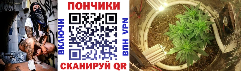 МАРИХУАНА конопля  Любань 